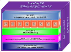 葡萄城服務(wù) 企業(yè)信息門戶與工作流管理的高效整合方案